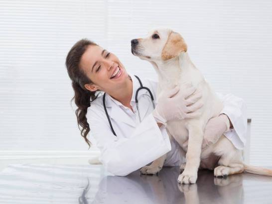 General CheckUp