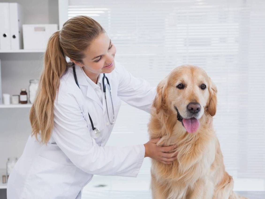 Vaccination Care